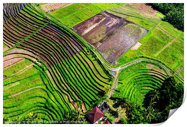 Aerial Bali plantation farming on rice terraces Indonesia Print by Spotmatik 