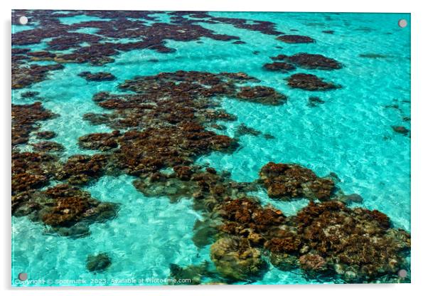 Aerial Coral Reef Lagoon Island Bora Bora  Acrylic by Spotmatik 