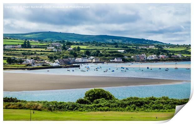 Afon Nyfer River Newport Pembrokeshire Print by Pearl Bucknall