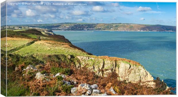 Fishguard Bay Pembrokeshire Coastal Path Panorama  Canvas Print by Pearl Bucknall
