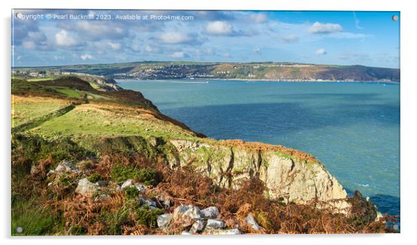 Fishguard Bay Pembrokeshire Coastal Path Panorama  Acrylic by Pearl Bucknall