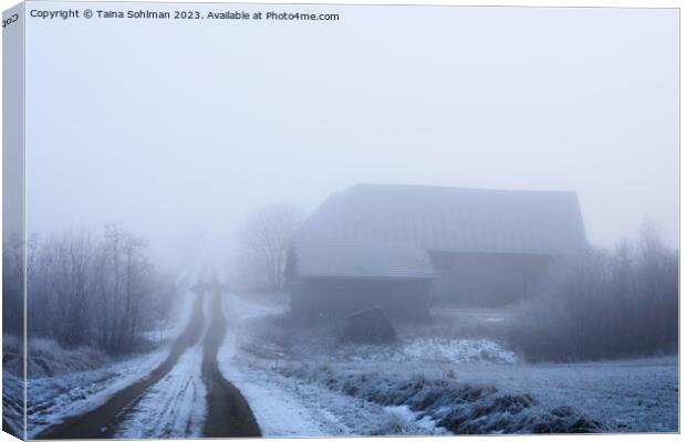 Rural Road Into the Fog Canvas Print by Taina Sohlman