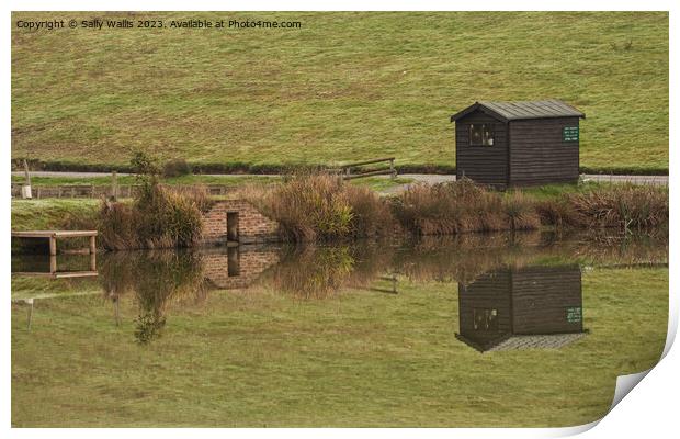 Look closely. It is a reflection ! Print by Sally Wallis