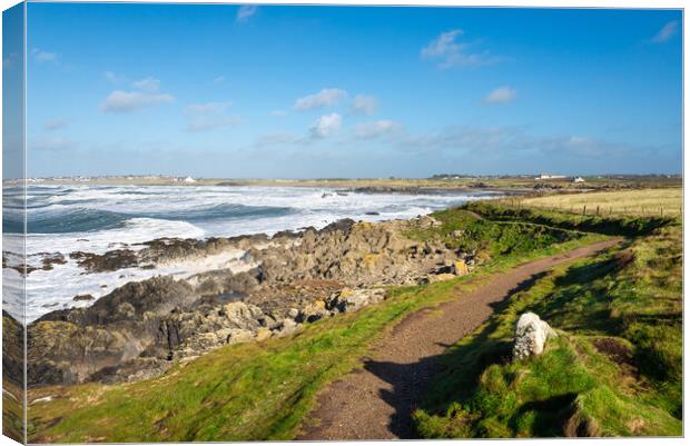 Coast path at Rhosneigr, Anglesey, Wales Canvas Print by Andrew Kearton