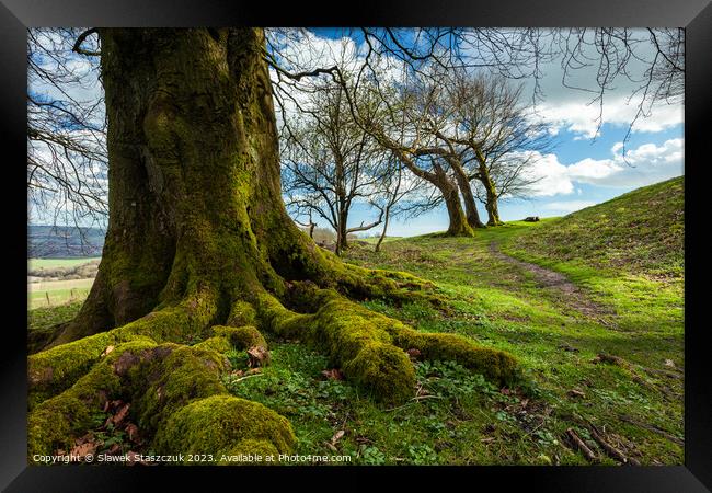 Chanctonbury Ring Framed Print by Slawek Staszczuk