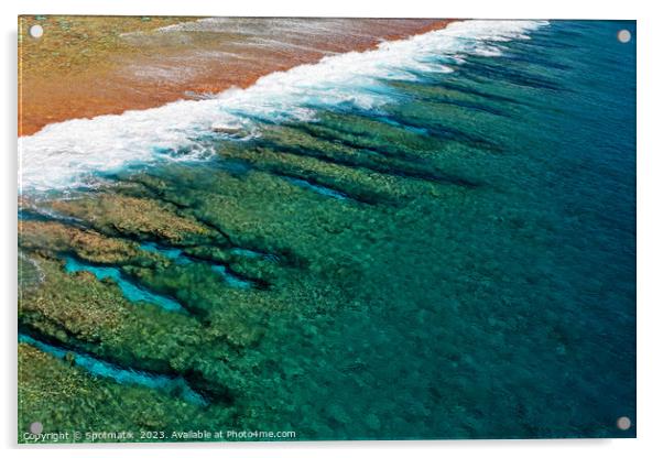 Aerial Bora Bora French Polynesia a coral paradise  Acrylic by Spotmatik 