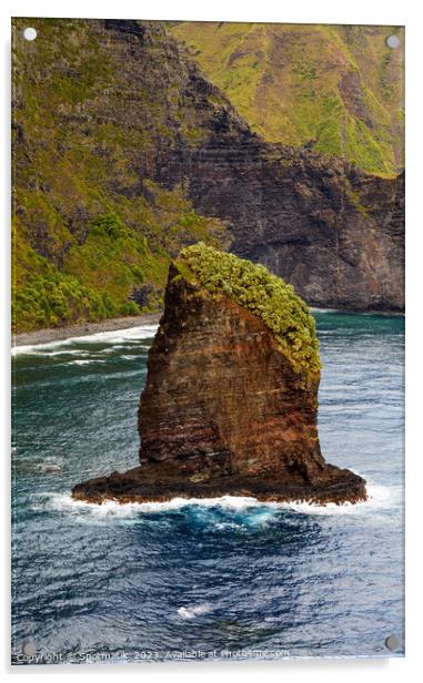 Aerial Island view rocky seabird sanctuaries Molokai Hawaii  Acrylic by Spotmatik 