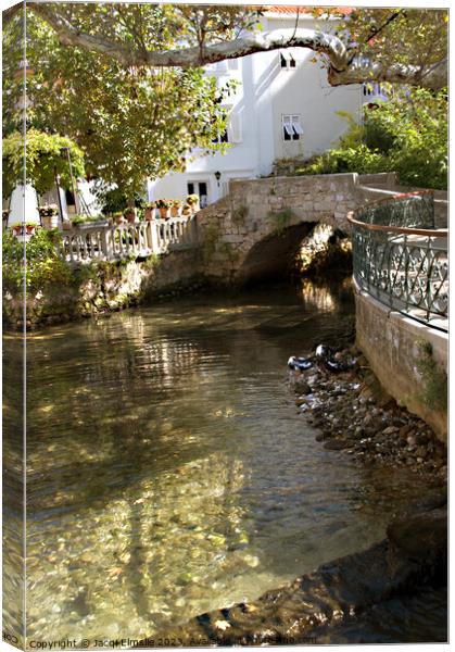 A peaceful spot Canvas Print by Jacqi Elmslie