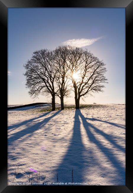 Winter light through some tree with snow on the ground  Framed Print by Gail Johnson