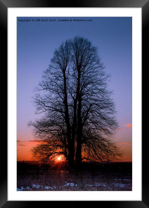 Sunset under the elm Framed Mounted Print by Cliff Kinch