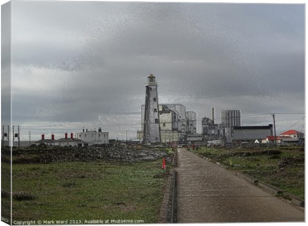 Dungeness Wrapped in Plastic. Canvas Print by Mark Ward