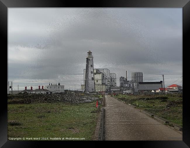 Dungeness Wrapped in Plastic. Framed Print by Mark Ward