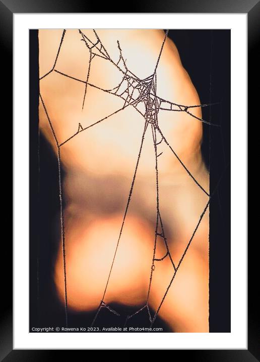 Frosty spider web in a Winter Morning Framed Mounted Print by Rowena Ko