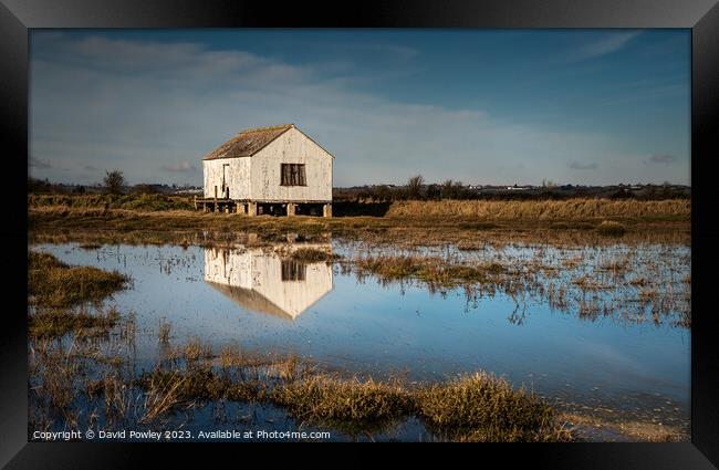 Reflections at Lion Creek Essex Framed Print by David Powley