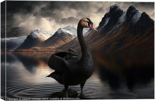 Painting of a beautiful black swan at sunset in a lake between m Canvas Print by Joaquin Corbalan