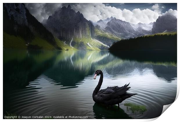 Painting of a beautiful black swan at sunset in a lake between m Print by Joaquin Corbalan