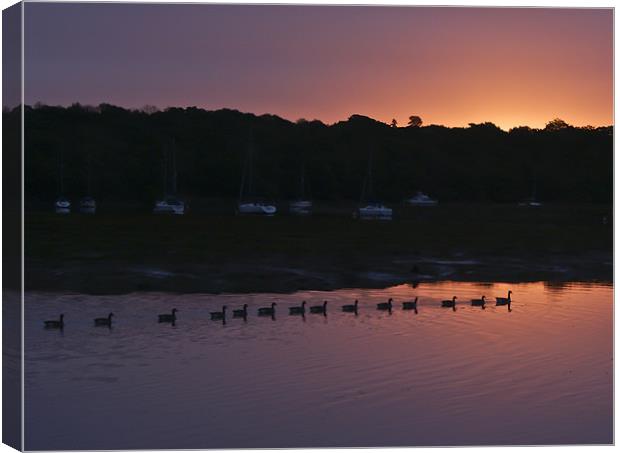 Geese at dawn Canvas Print by Gary Eason