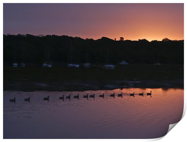 Geese at dawn Print by Gary Eason