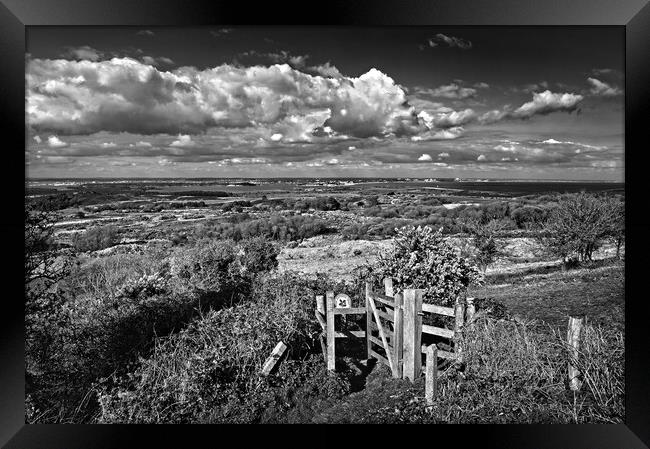 View across Studland and Godlington Heath   Framed Print by Darren Galpin