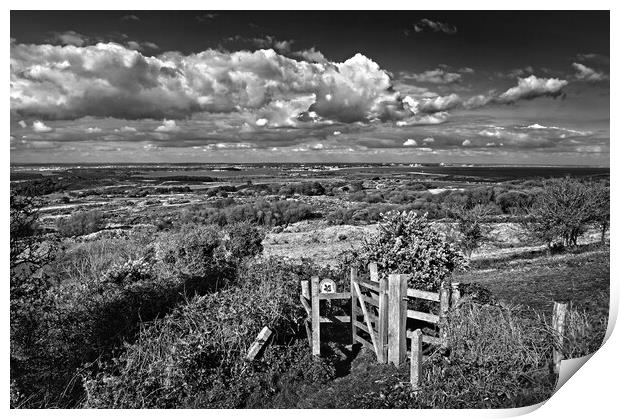 View across Studland and Godlington Heath   Print by Darren Galpin