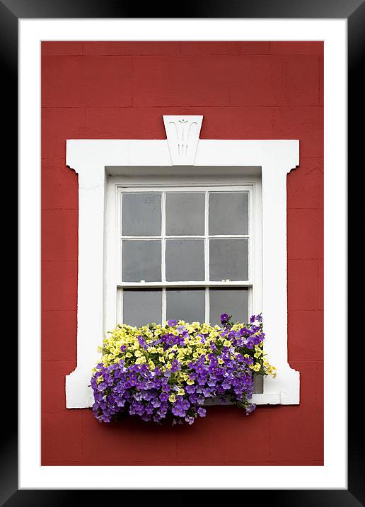 Red Wall White Window and Flowers Framed Mounted Print by Natalie Kinnear