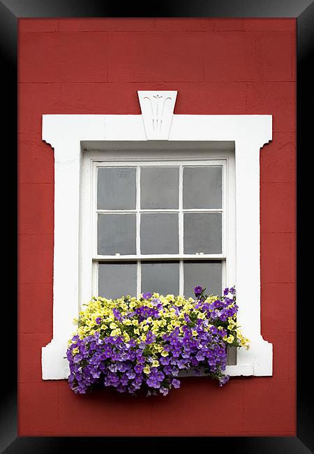 Red Wall White Window and Flowers Framed Print by Natalie Kinnear
