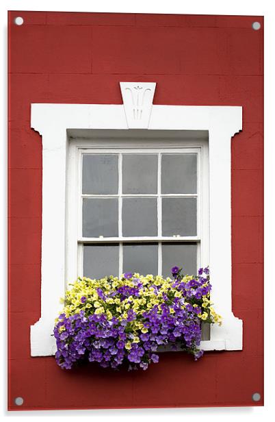 Red Wall White Window and Flowers Acrylic by Natalie Kinnear