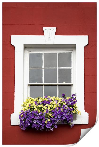Red Wall White Window and Flowers Print by Natalie Kinnear