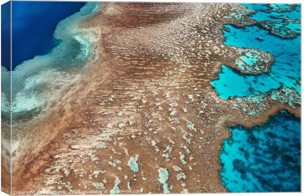 Aerial Australia Great Barrier Reef Queensland South Pacific  Canvas Print by Spotmatik 