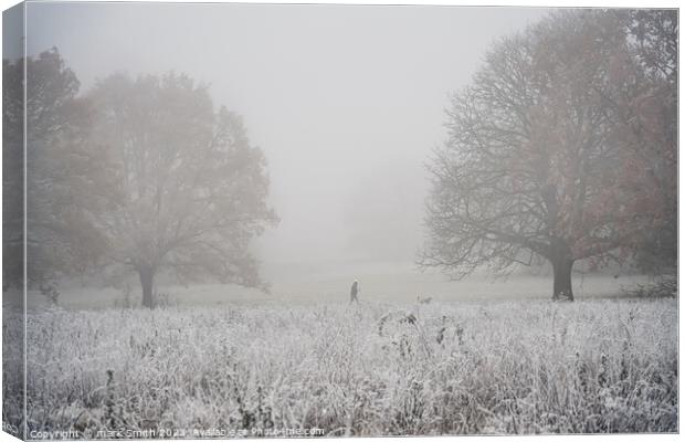 frosty morning, nonsuch park Canvas Print by mark Smith
