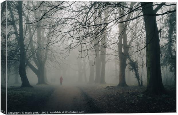 foggy day, nonsuch park Canvas Print by mark Smith