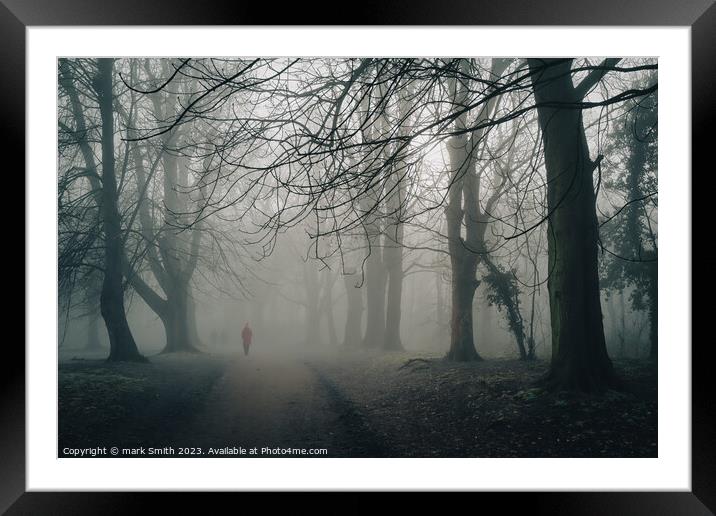 foggy day, nonsuch park Framed Mounted Print by mark Smith