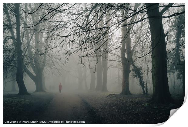 foggy day, nonsuch park Print by mark Smith