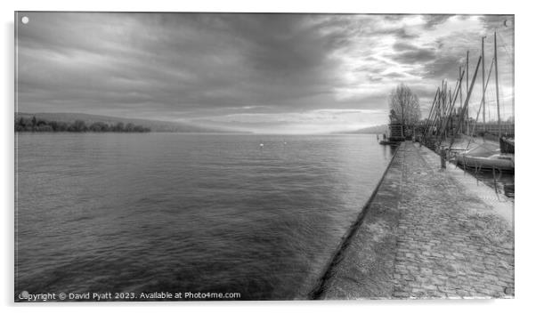 Lake Zurich Switzerland Panorama Acrylic by David Pyatt