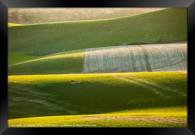 Rolling, rolling... Framed Print by Slawek Staszczuk