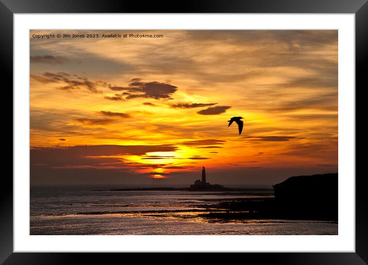 Sunrise, silhouettes and a seagull Framed Mounted Print by Jim Jones