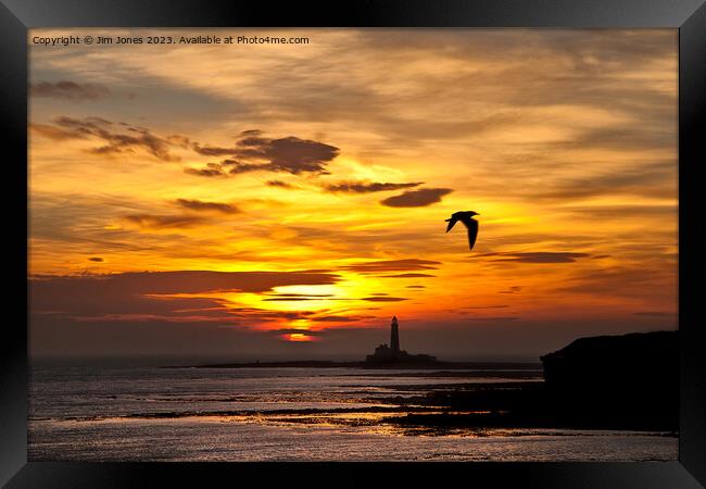 Sunrise, silhouettes and a seagull Framed Print by Jim Jones