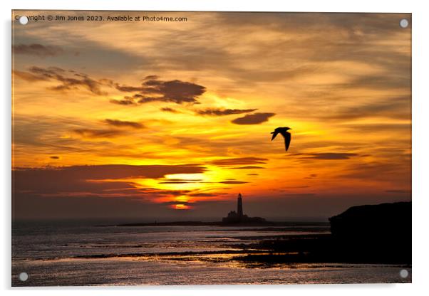 Sunrise, silhouettes and a seagull Acrylic by Jim Jones