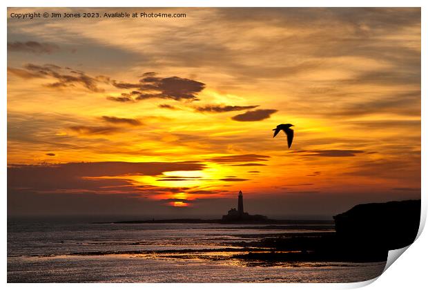 Sunrise, silhouettes and a seagull Print by Jim Jones
