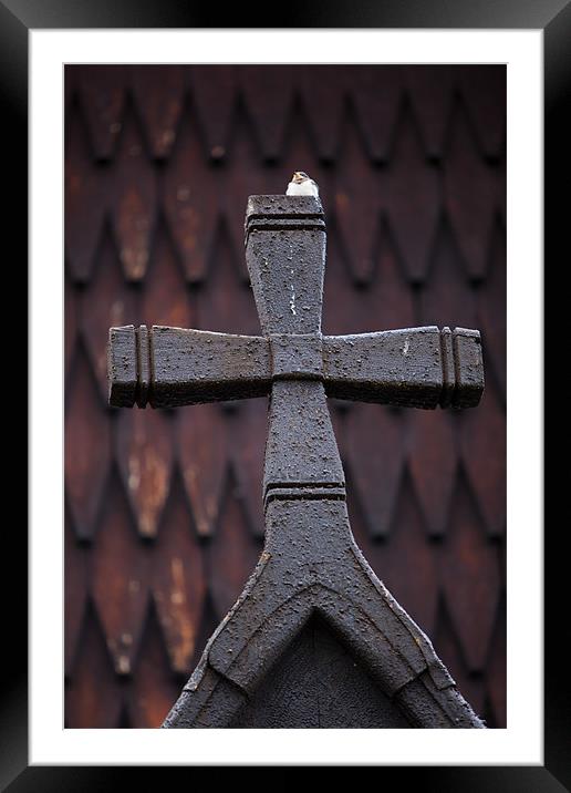 Wooden cross with bird Framed Mounted Print by Thomas Schaeffer