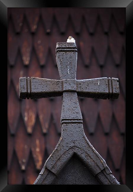 Wooden cross with bird Framed Print by Thomas Schaeffer