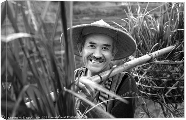 Portrait Bali man collecting rice plants bamboo baskets  Canvas Print by Spotmatik 