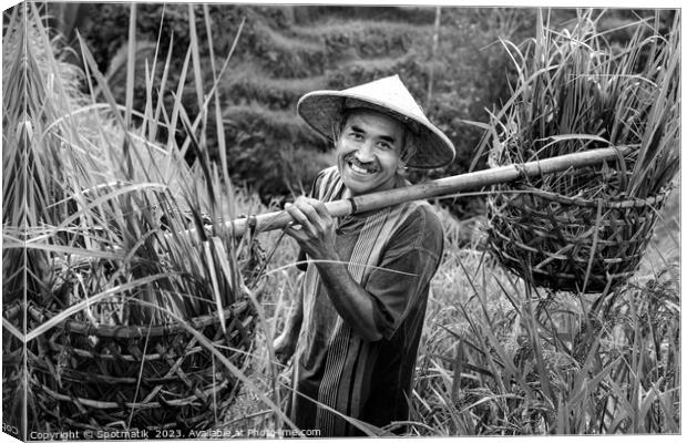 Indonesian traditional male worker on hillside rice field  Canvas Print by Spotmatik 