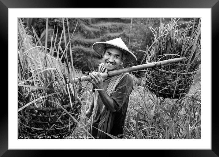 Indonesian traditional male worker on hillside rice field  Framed Mounted Print by Spotmatik 