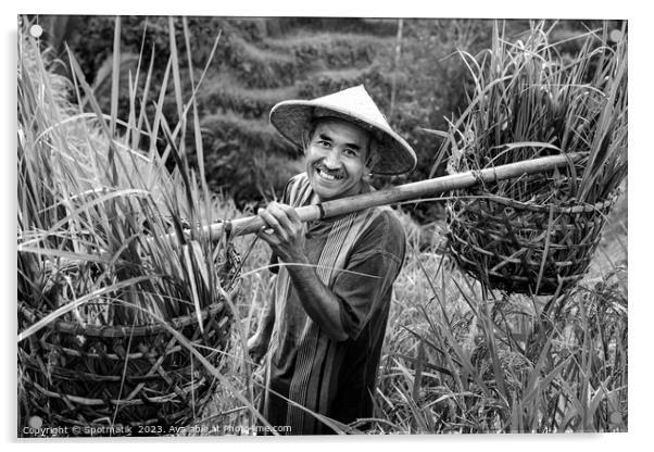 Indonesian traditional male worker on hillside rice field  Acrylic by Spotmatik 