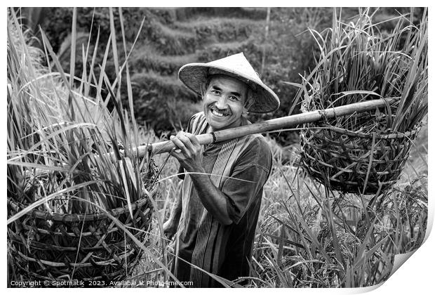 Indonesian traditional male worker on hillside rice field  Print by Spotmatik 