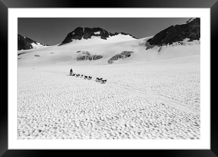 Aerial view of Alaska dogsledding team Chugach Mountains Framed Mounted Print by Spotmatik 