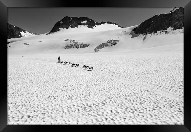 Aerial view of Alaska dogsledding team Chugach Mountains Framed Print by Spotmatik 