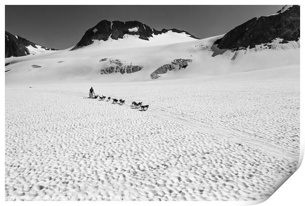 Aerial view of Alaska dogsledding team Chugach Mountains Print by Spotmatik 