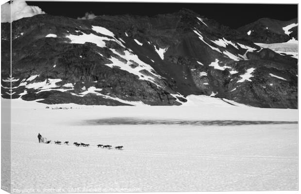 Aerial view team of Alaskan Husky dogsledding USA Canvas Print by Spotmatik 